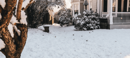 How to Grow your Landscaping Company in the Winter